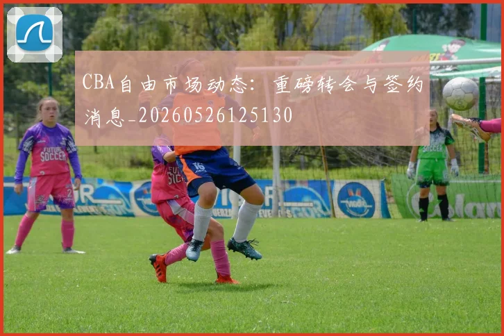 CBA自由市场动态：重磅转会与签约消息_20260526125130