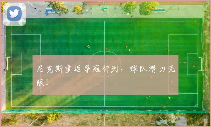 尼克斯重返争冠行列,球队潜力无限!