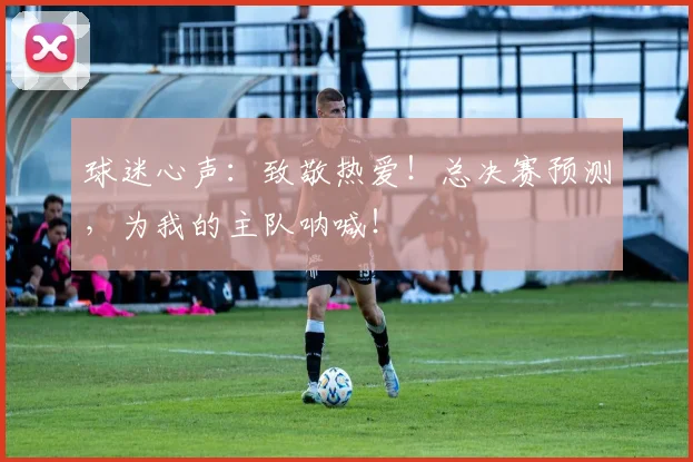 球迷心声:致敬热爱!总决赛预测,为我的主队呐喊!